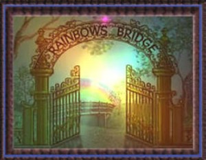 regenbogen